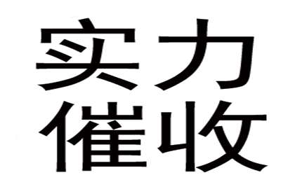 莱芜追数公司